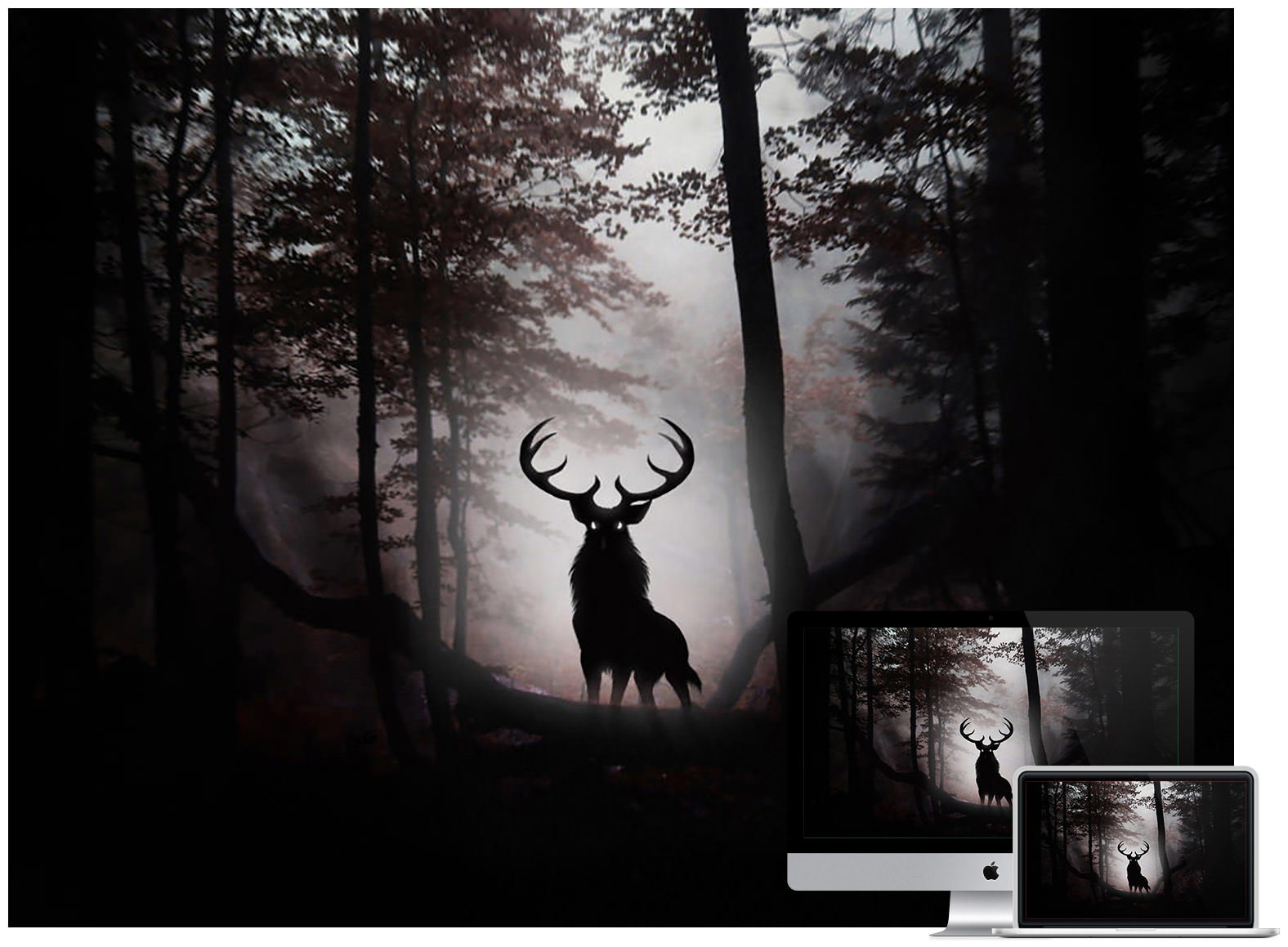 deer-in-night-wallpaper