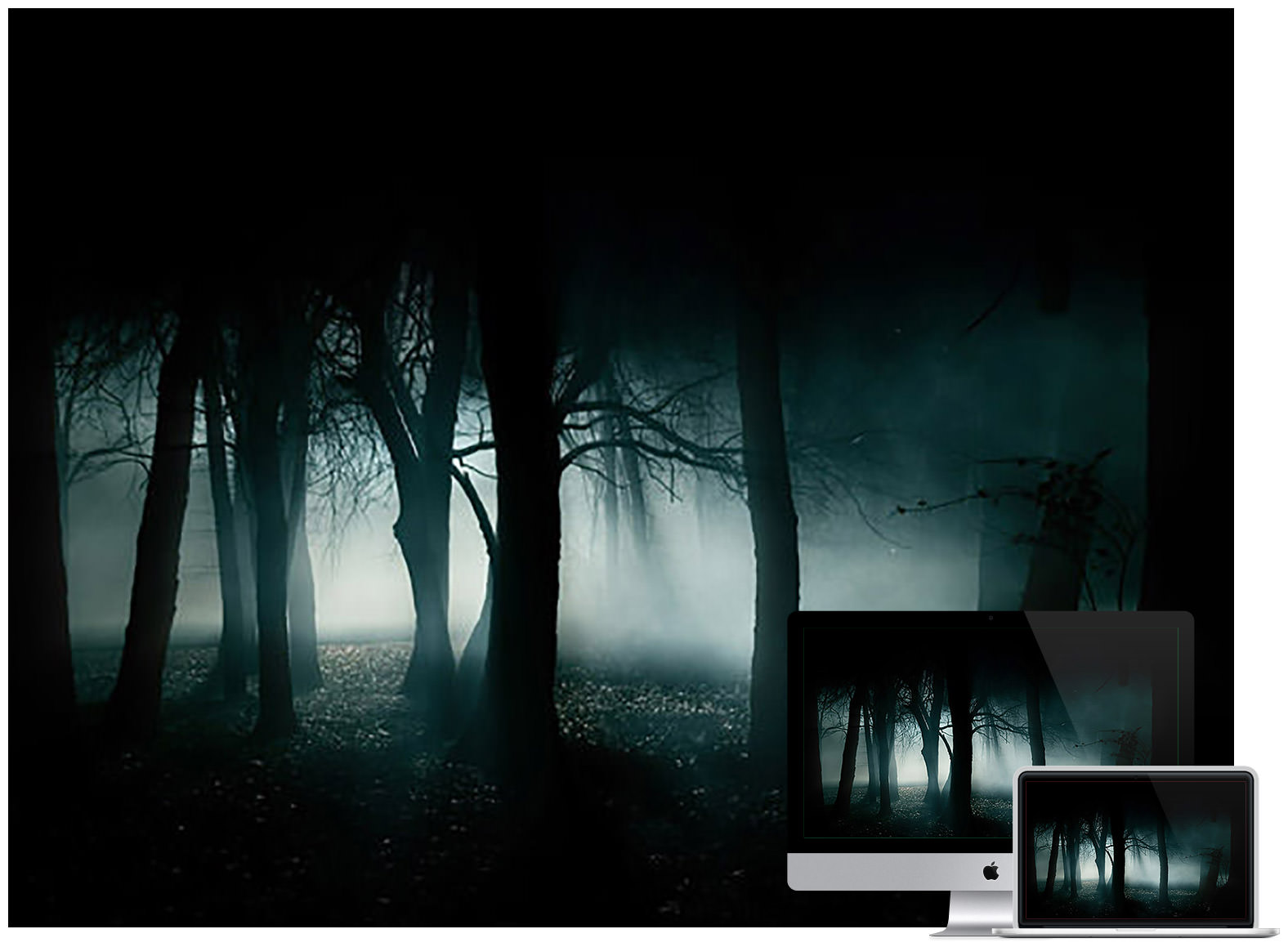 dark-forest-desktop-wallpaper