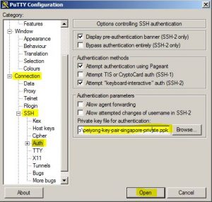 How to use copy and paste in putty for mac